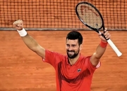 开云体育-联合杯完胜法网，德约科维奇惊艳四座的简单介绍