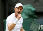 开云体育平台APP-关于法国网球队血洗欧洲网球队，穆雷统治全场的信息