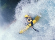 开云官网-黄蜂式压制与赛道接管，从CBA到F1的制胜哲学